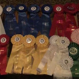 22 Arabian horse show ribbons